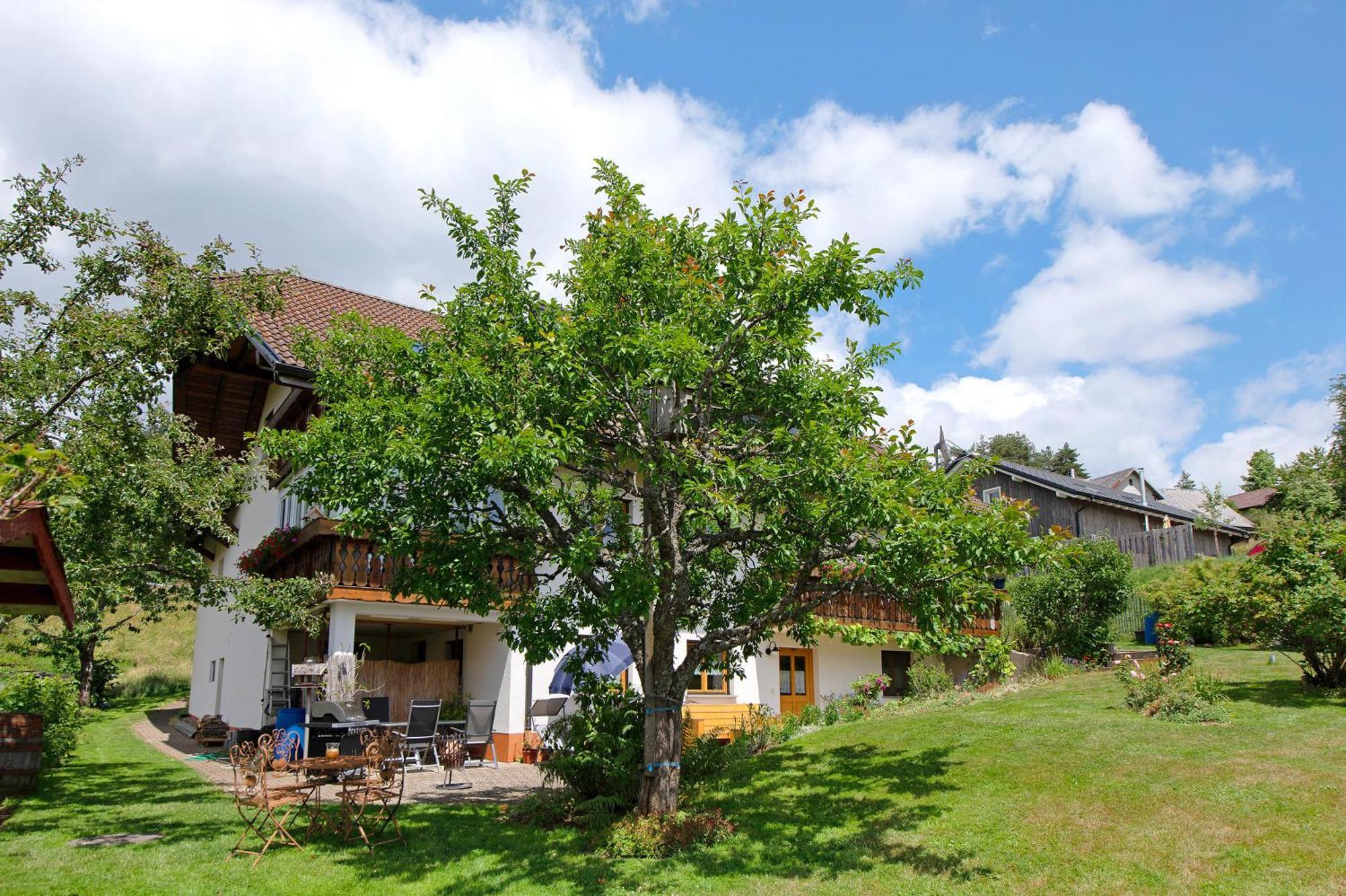 Ferienwohnung Blasi Mit Alpensicht Ibach Экстерьер фото