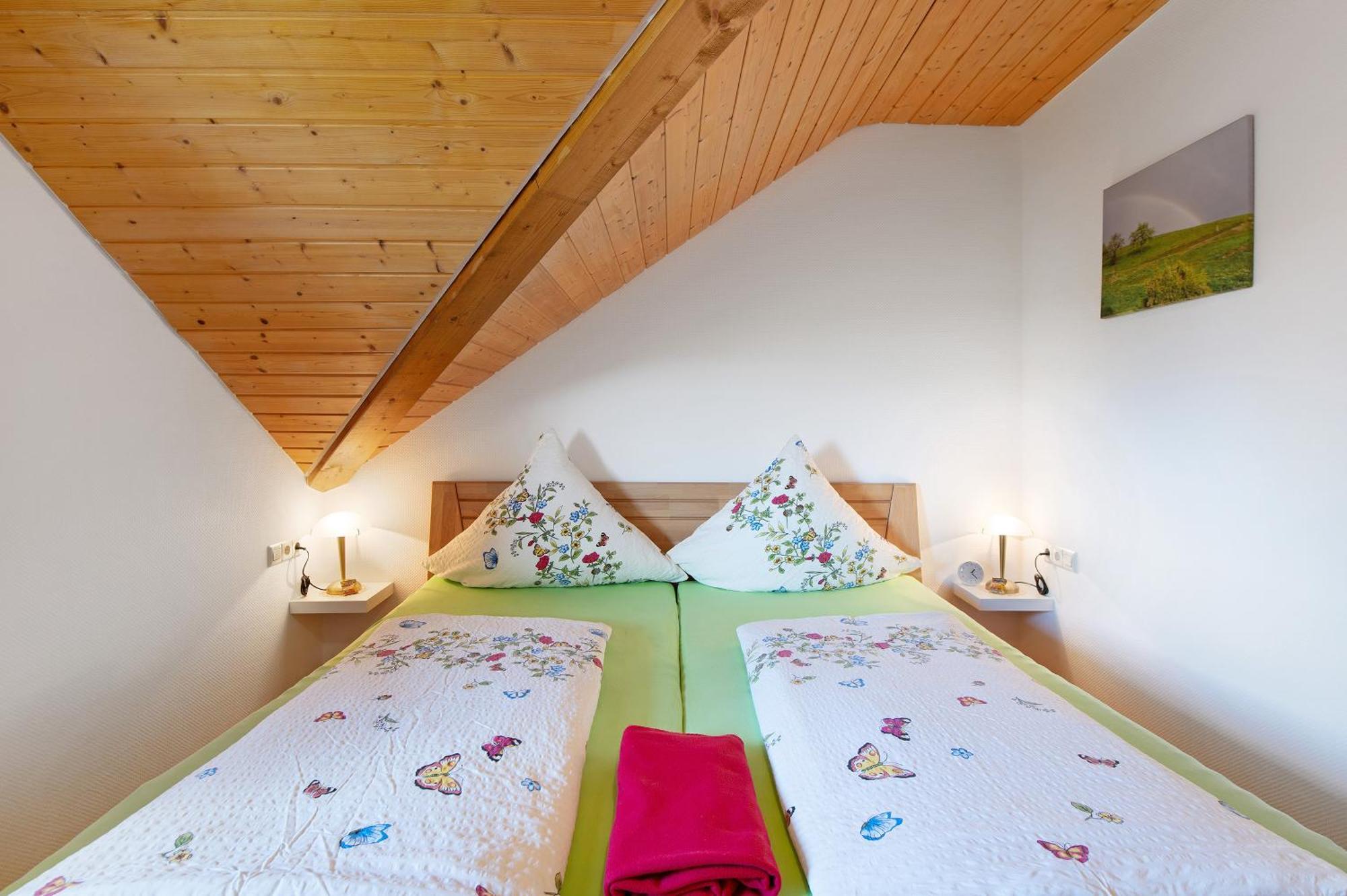 Ferienwohnung Blasi Mit Alpensicht Ibach Экстерьер фото