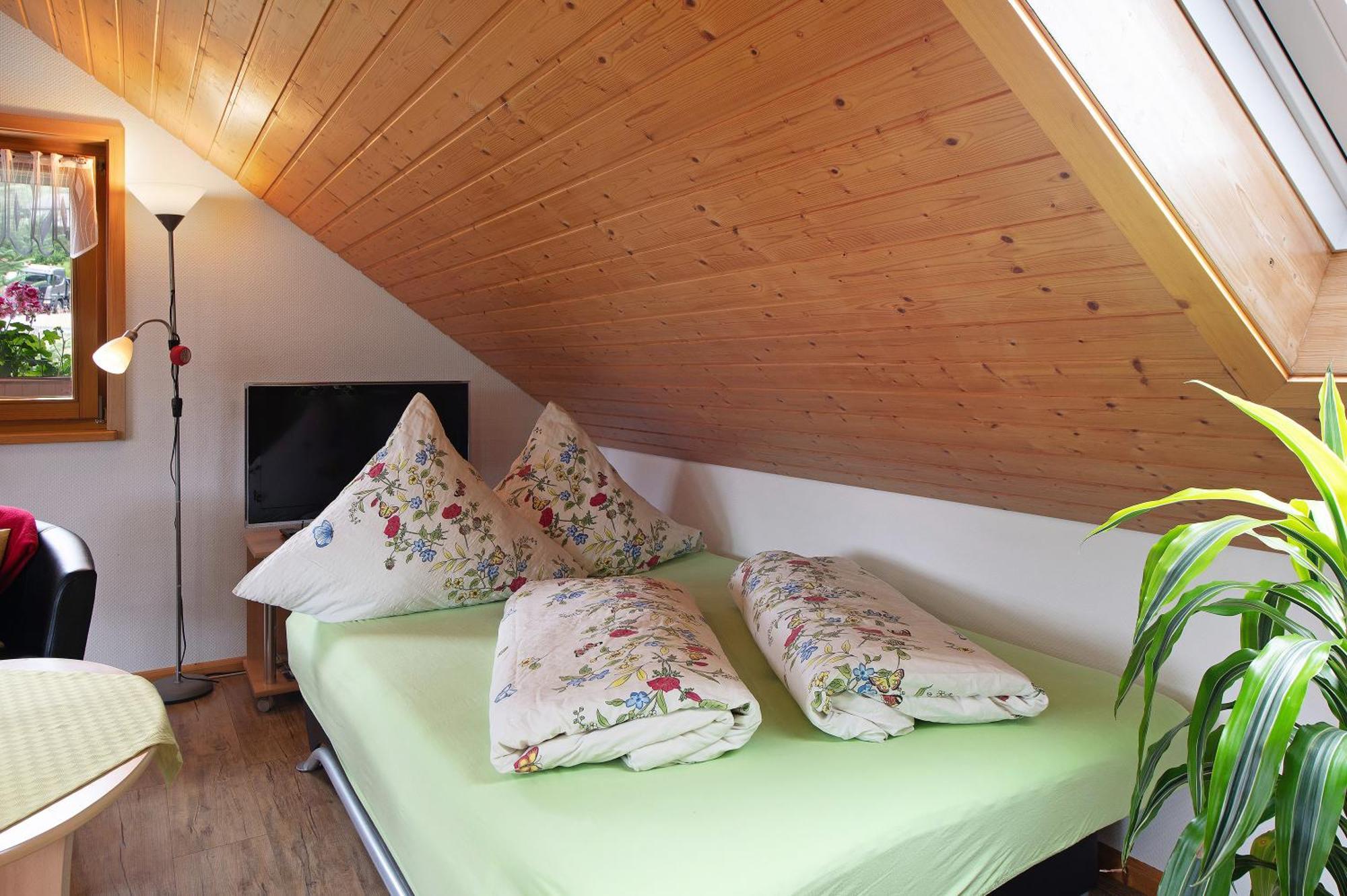 Ferienwohnung Blasi Mit Alpensicht Ibach Экстерьер фото