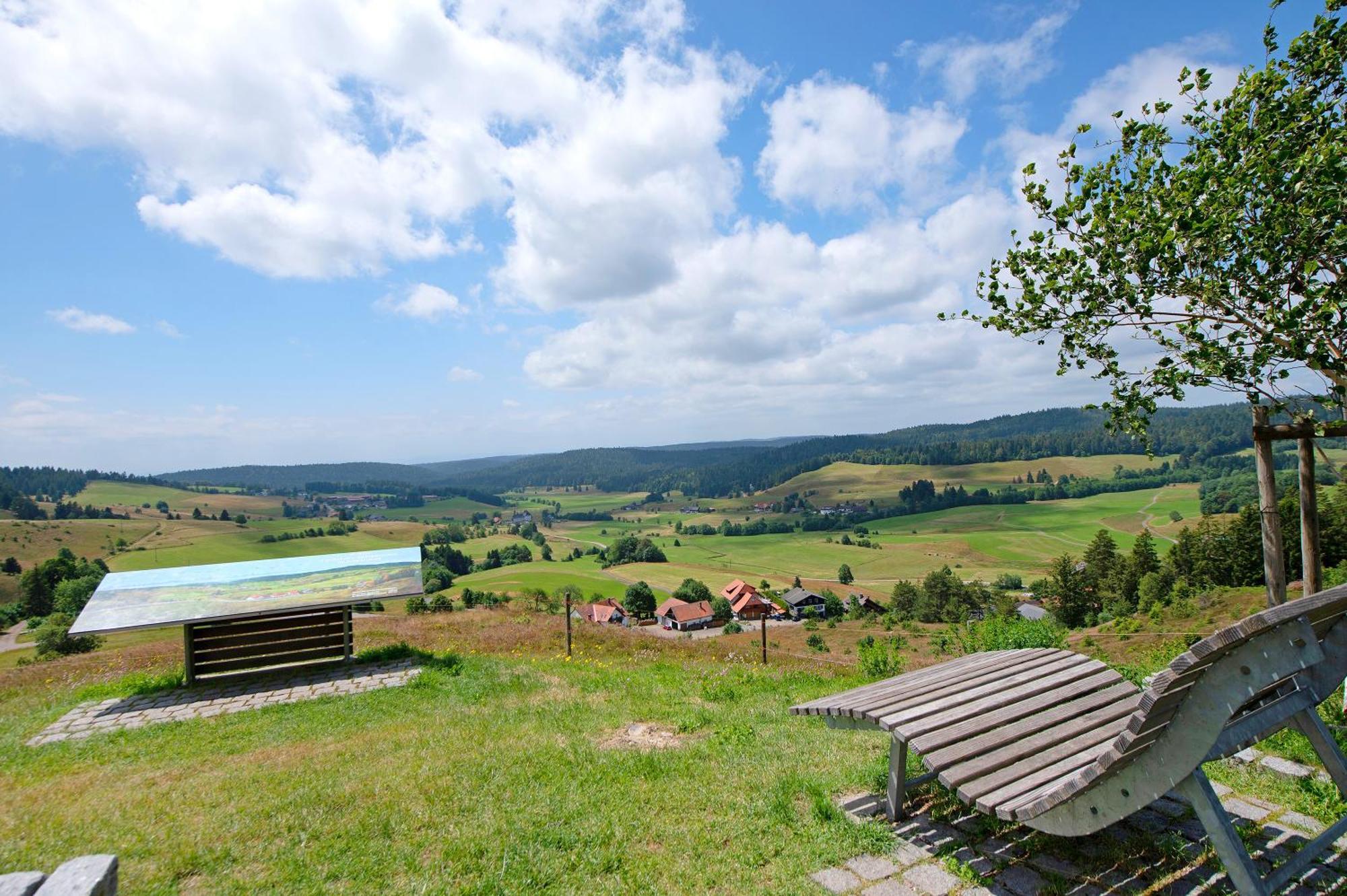 Ferienwohnung Blasi Mit Alpensicht Ibach Экстерьер фото